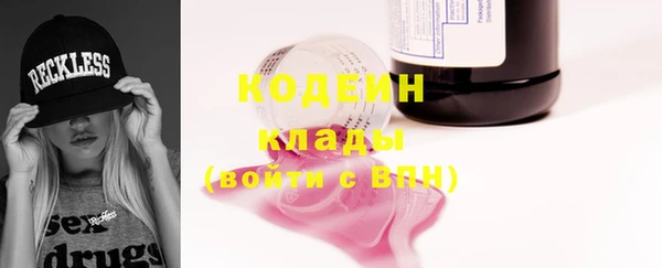бошки Пересвет