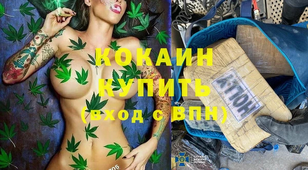 дживик Арсеньев