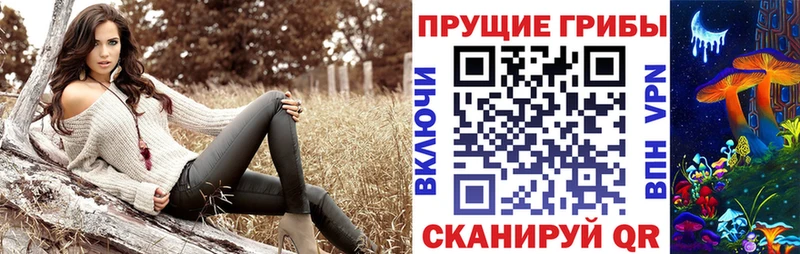 Галлюциногенные грибы Magic Shrooms  купить закладку  Калтан 
